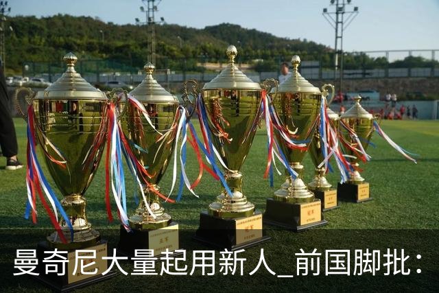 曼奇尼大量起用新人 前国脚批：进意大利队太容易了